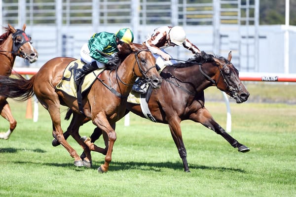 All eyes on Telegraph defence