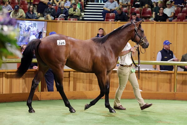 Moody wishes for more gold at Karaka