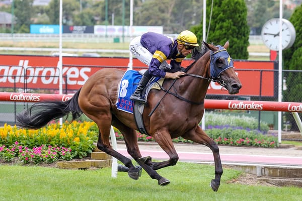 Blinkers bring the best out of No Secret