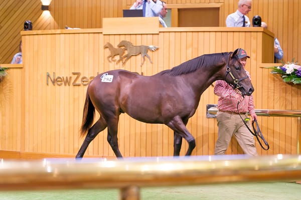 Internationals Savour Quality Bloodlines on Day Two