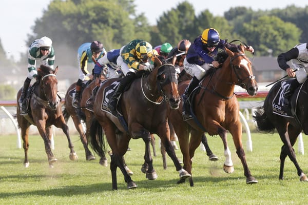 Phantom Dragon winning at Te Rapa. Photo: Trish Dunell