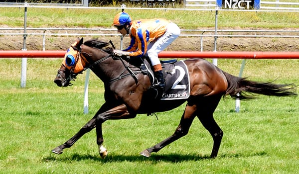 Walker sets century record at Tauranga