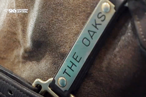 VIDEO: The Oaks Stud Karaka 2023 Preview