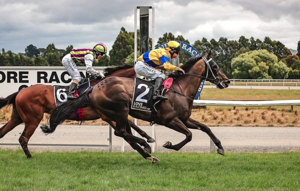 <strong>Tiger Fire thriving on the quiet life</strong>