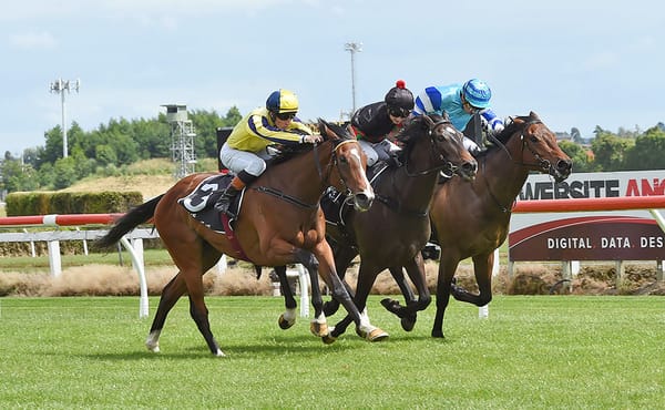 Derby planning continues at Te Rapa for O’Sullivan and Scott