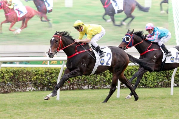 Manfred Man chases G1 Centenary Sprint Cup glory with Lucky Sweynesse