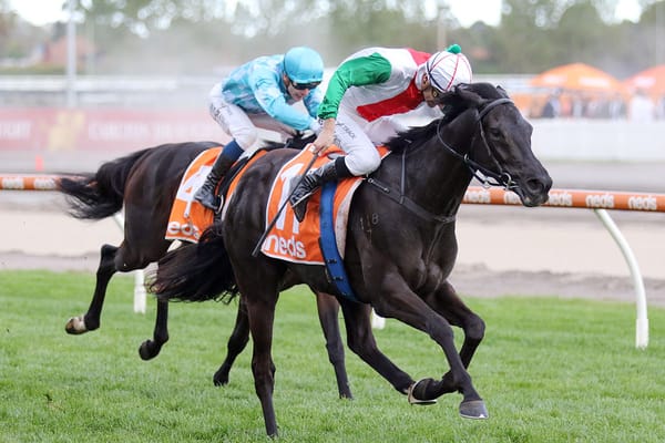 <strong>Forsman hoping luck rides with Aegon</strong>