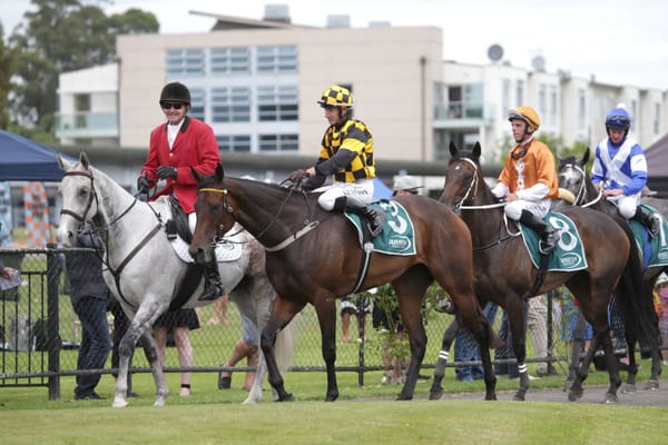 Impressive Aquacade now Auckland Cup favourite