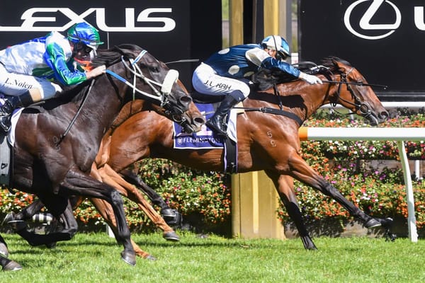 I Wish I Win proves sprinting credentials