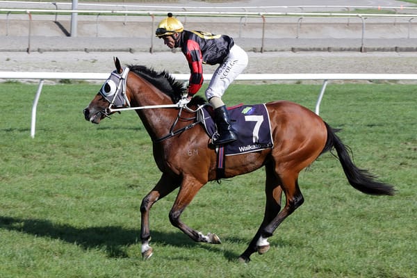 Creator to join Price-Kent