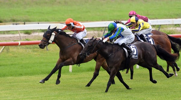 Derby hope confirmed Pukekohe runner