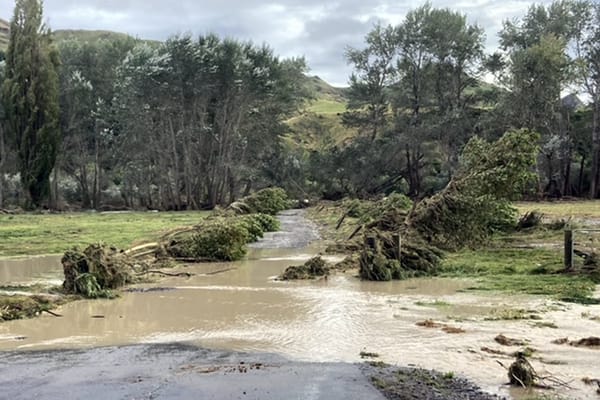Floods wreak havoc for Hawke’s Bay trainer