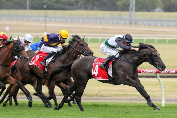 Little Avondale wrap up Little Brose