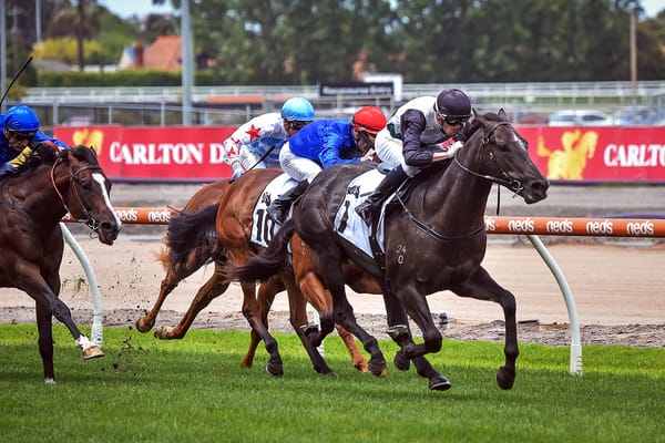 Little Avondale looking on the bright side after topsy-turvy week