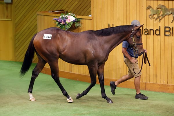 Foote finishes Karaka with a flurry