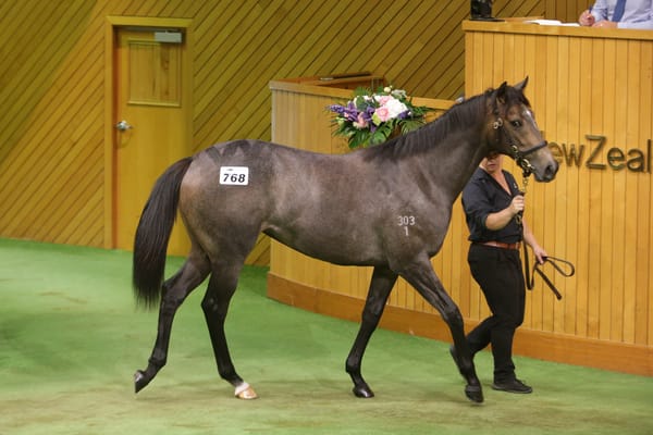 Karaka makes positive impression on Pearce