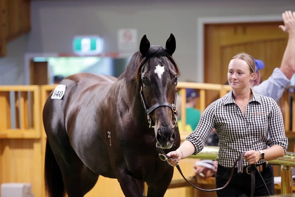 Young guns enjoy dream first pinhook