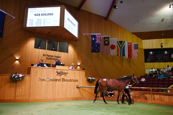 Final Results for Karaka 2023