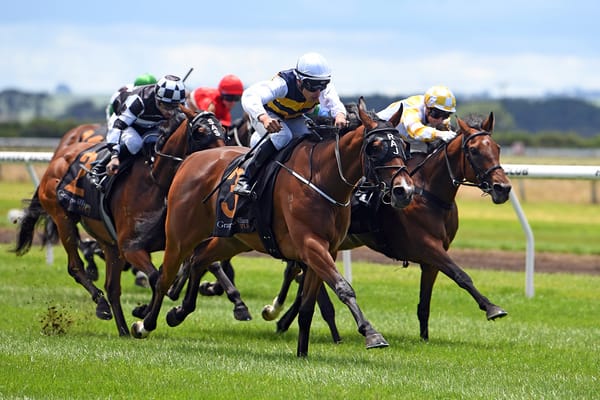 Trainers ponder next move with Prowess