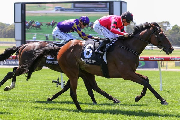 Cup Dream alive for So Unusual