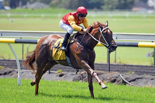 Ulanova dominates in New Plymouth juvenile feature