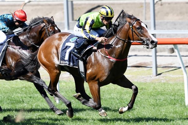 Well-bred Aprilia bounces back