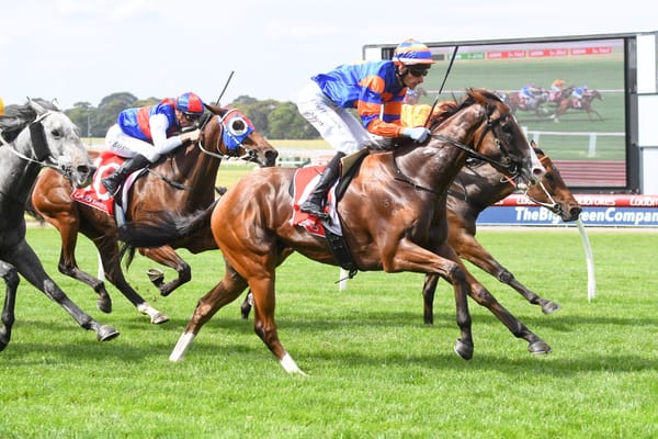 <strong>Son of Zed ‘one out of the box’</strong>