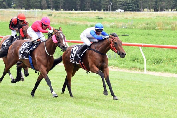 Express Coup leads stakes charge