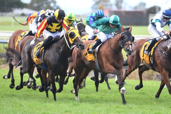 <strong>Couple “won’t die wondering” with Group One fillies</strong>