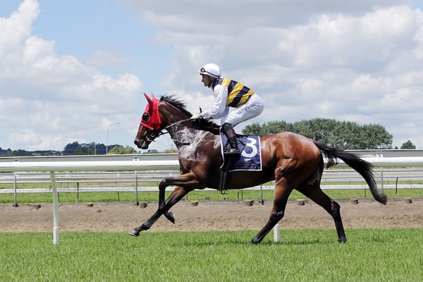 Forsman seeking another Australian Derby