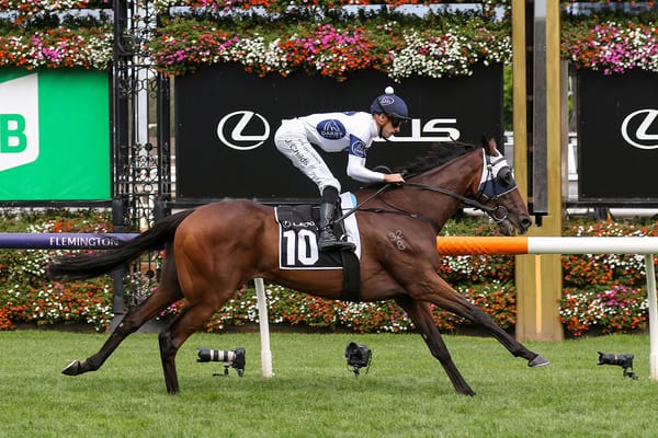 <strong>Goldman helps boost profile of young stallion</strong>