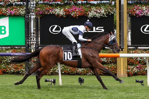Goldman earns golden Melbourne Cup ticket