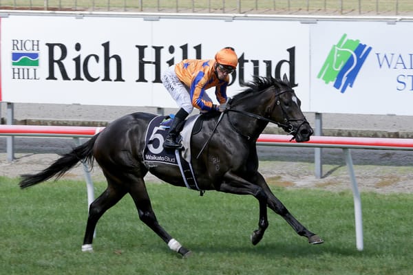 <strong>Imperatriz primed for Canterbury Stakes</strong>