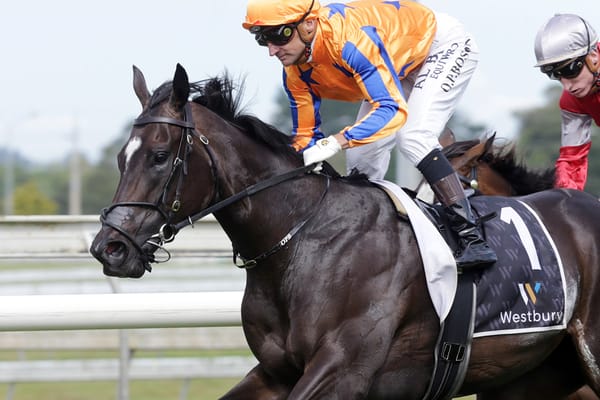 Imperatriz touches down