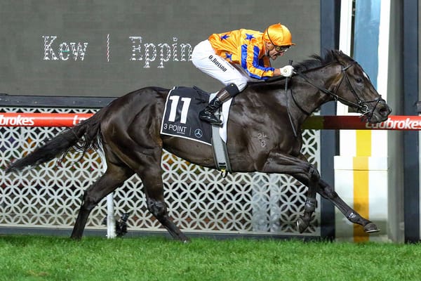 Kiwi mare stars in William Reid