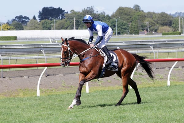 <strong>Racing success making up for sale setback</strong>