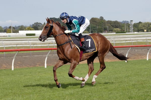 Orting vying for first stakes win