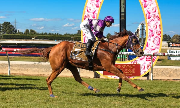 Blackadder’s patience paying off