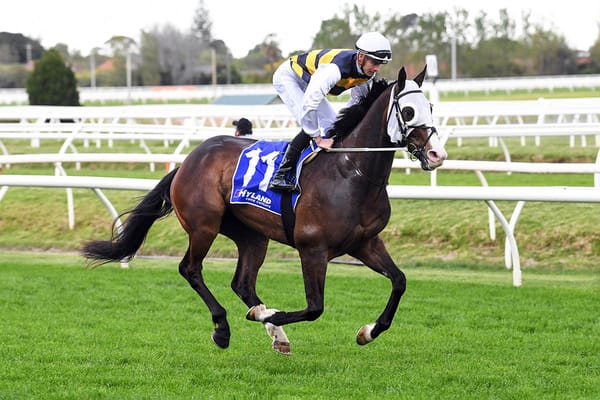 Emotional outpouring for loss of cult horse I’m Thunderstruck