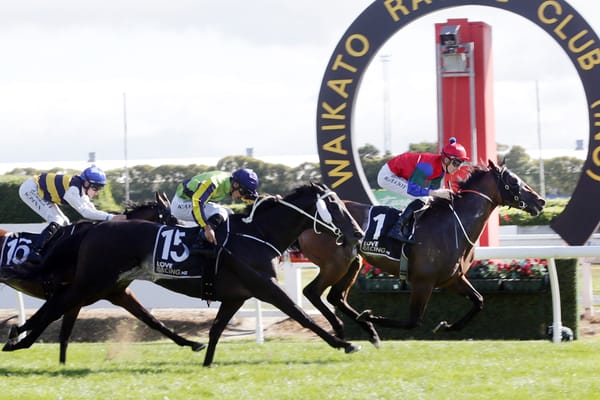 NZ Derby hero still Sharp 'N' Smart