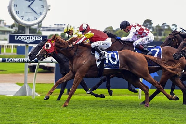 Tapildoodledo crows loudest in Tulloch