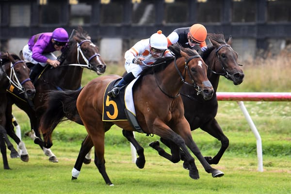 Tulsi heads Benner-Wynyard Awapuni charge 