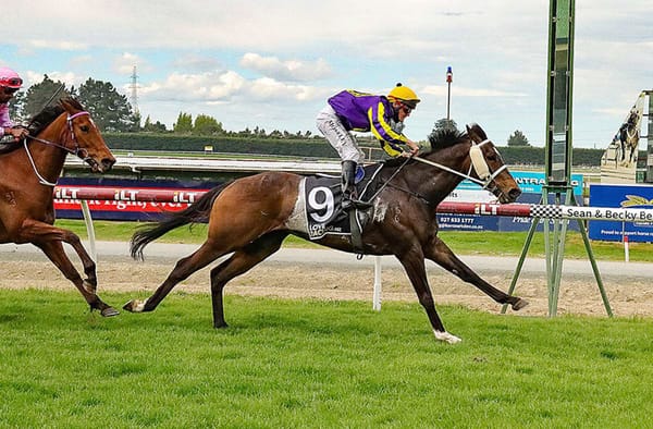 Price ready for Wingatui battle