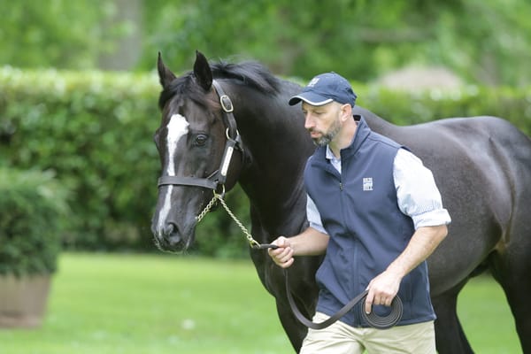 Ace High youngsters double up at trials