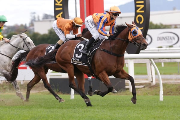 Te Akau stake claim on Tauranga feature