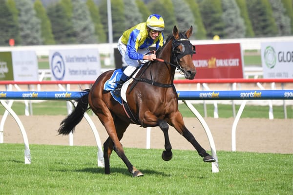 Ballarat win sets Bitcoin on Derby path