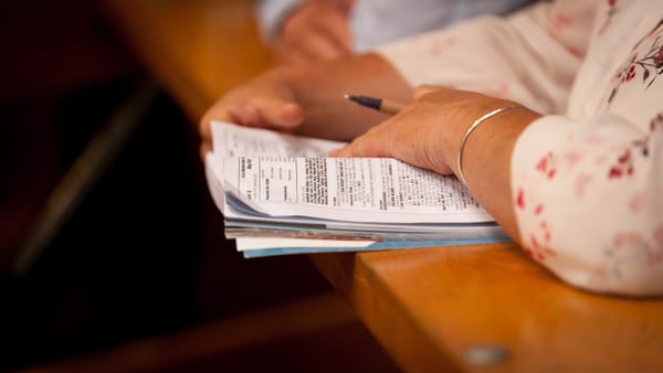 NZB online yearling sale now live