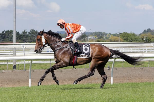 Pukekohe feature a possibility for Desert Lightning