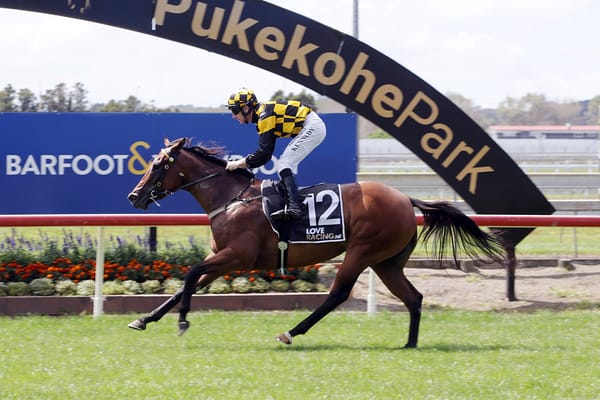 Flamebird shooting for black-type at Te Rapa