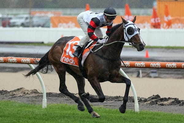 Gunstock set for Flemington return